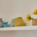 Cozy In Historic Center With Terrace Apartamento *